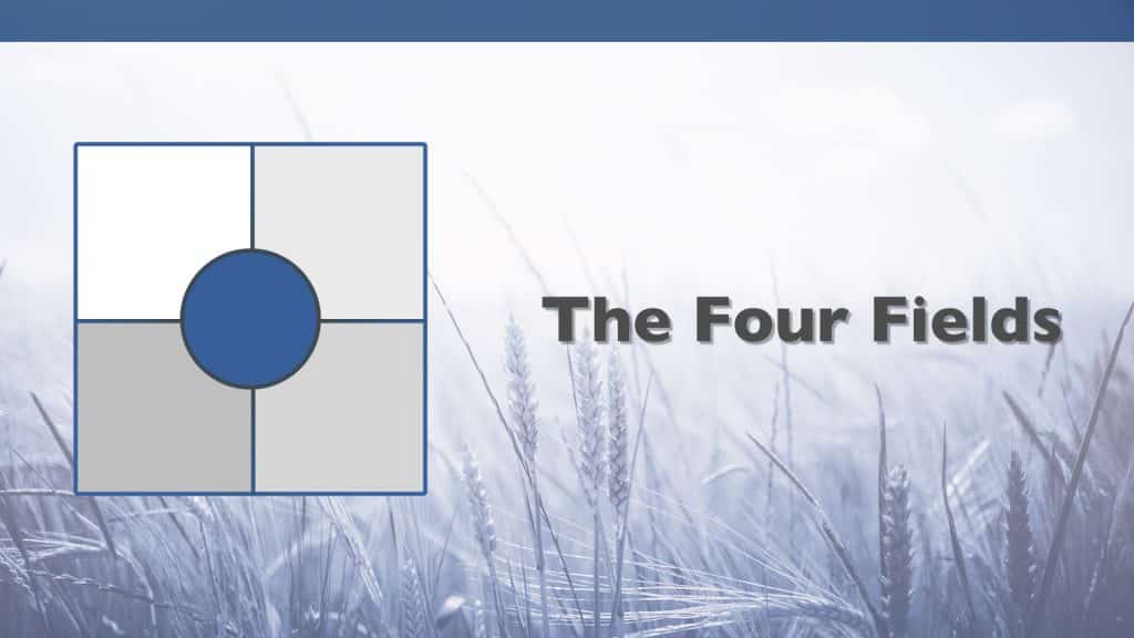 four-field-disciple-training